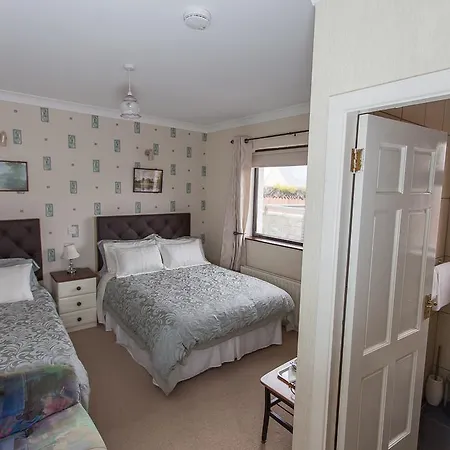 Oakley B&B 에니스