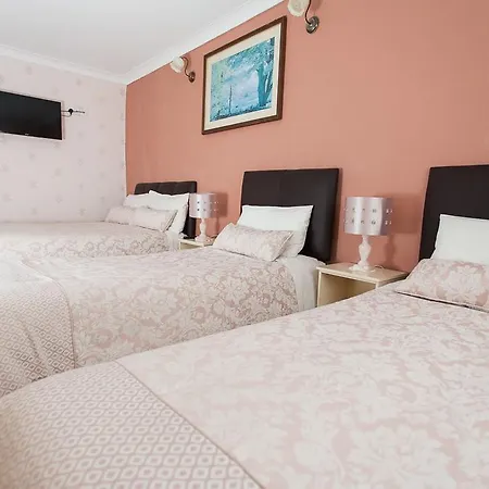 Oakley B&B 에니스